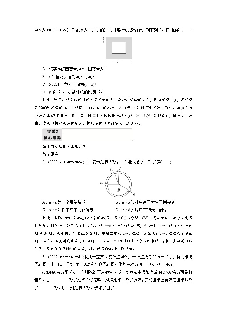 高中生物高考1 第10讲　细胞的增殖 试卷03