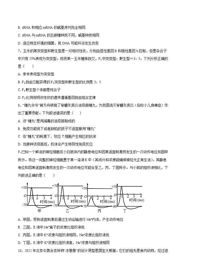 2023年高考第三次模拟考试卷-生物（湖南B卷）（考试版）03