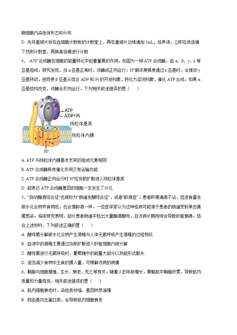2023年高考第三次模拟考试卷-生物(河北B卷)(考试版)第2页