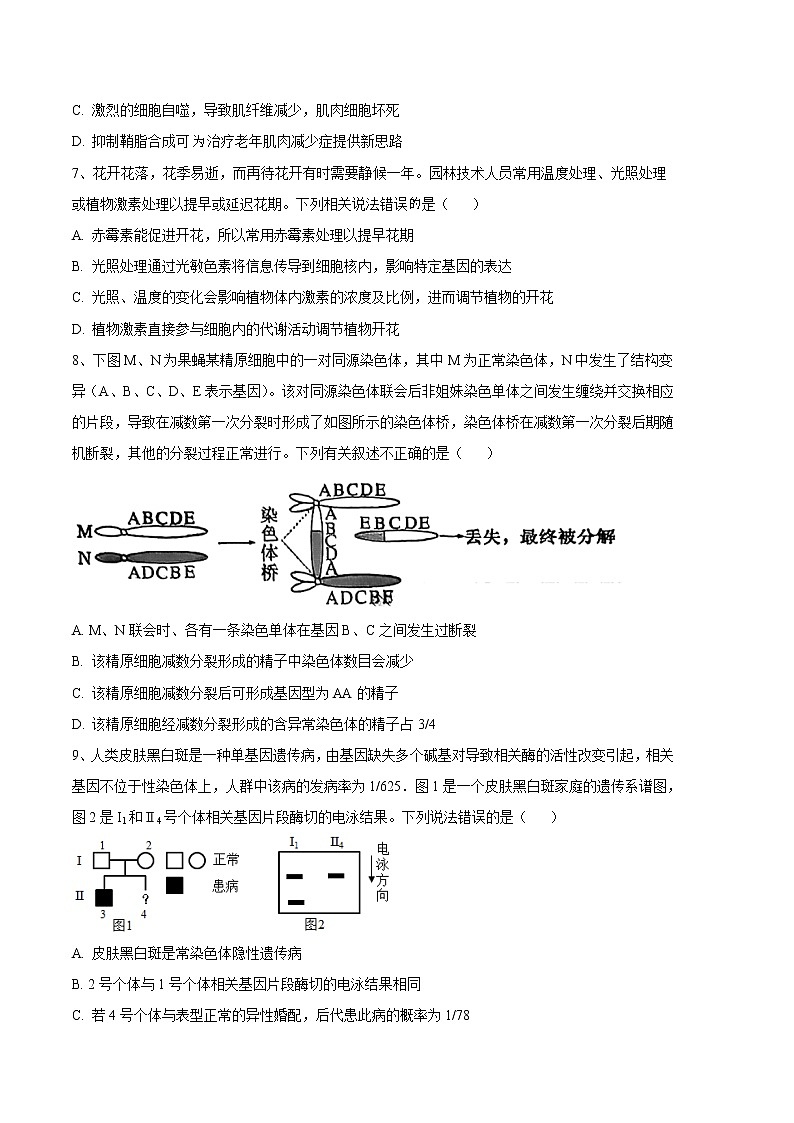 2023年高考第三次模拟考试卷-生物(河北B卷)(考试版)第3页
