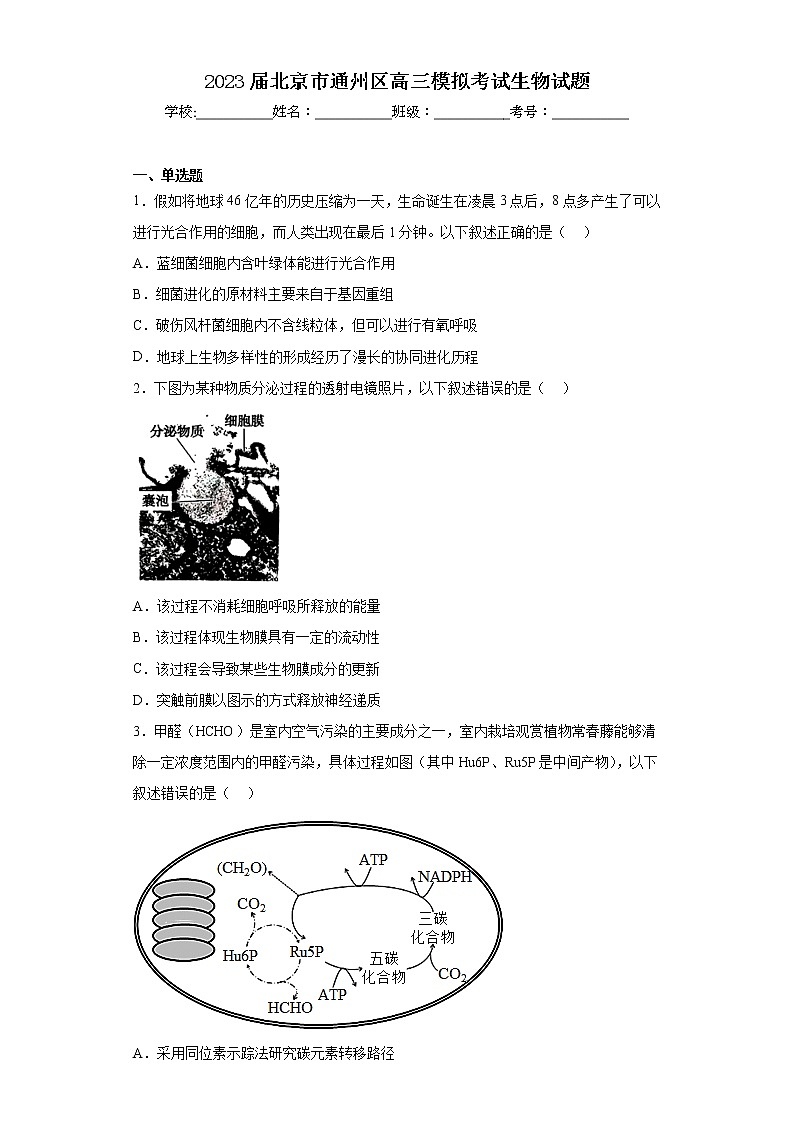 2023届北京市通州区高三模拟考试生物试题01