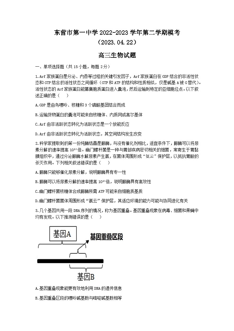 山东省东营市第一中学2022-2023学年高三生物下学期二模试题(Word版附答案)第1页