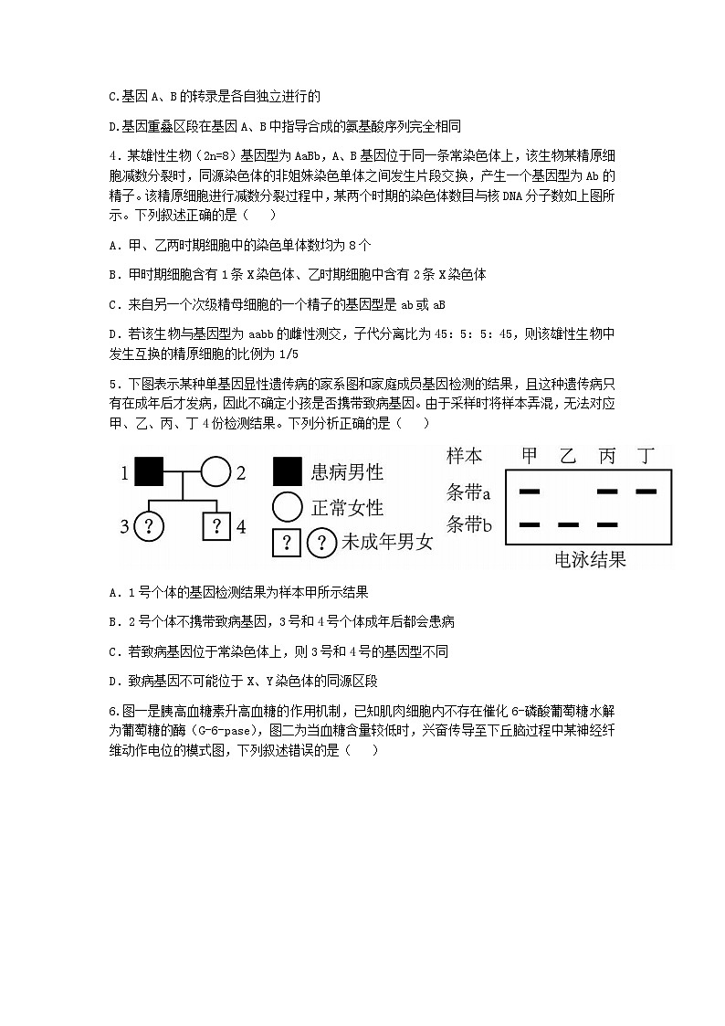 山东省东营市第一中学2022-2023学年高三生物下学期二模试题(Word版附答案)第2页