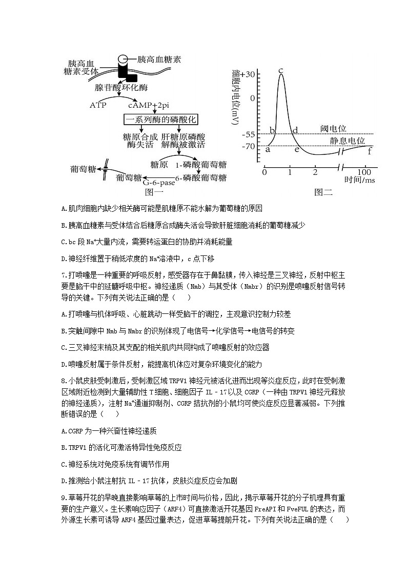 山东省东营市第一中学2022-2023学年高三生物下学期二模试题(Word版附答案)第3页