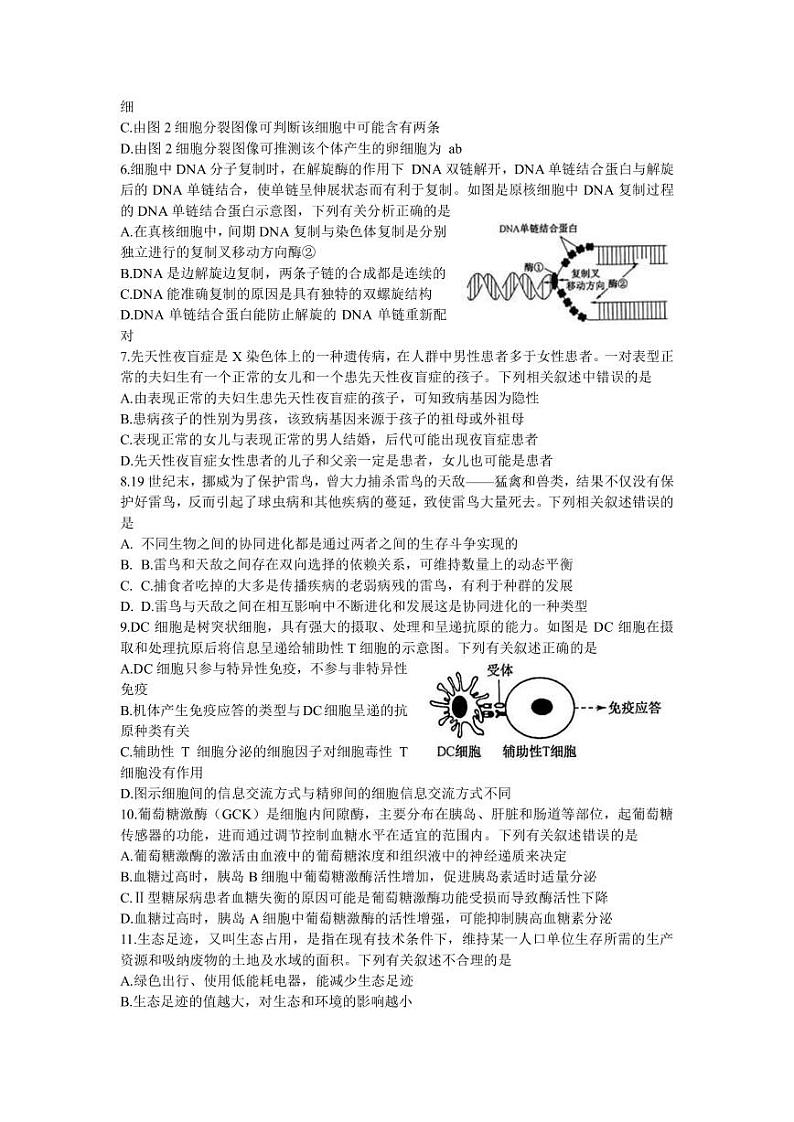 2023届河北省高三下学期4月大联考试题(二模) 生物(PDF版)02