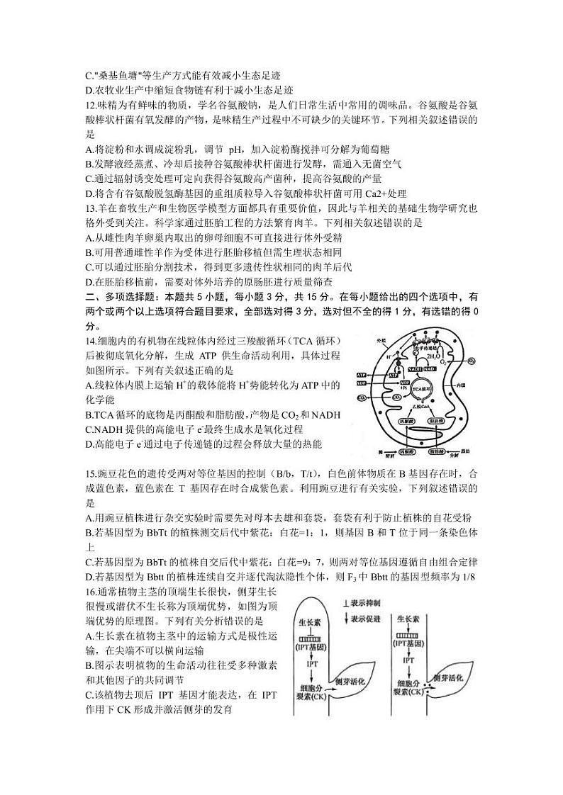 2023届河北省高三下学期4月大联考试题(二模) 生物(PDF版)03
