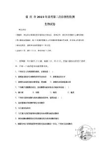 重庆市2023届高三下学期第二次诊断性检测(二模)生物试卷(含部分解析)+Word版