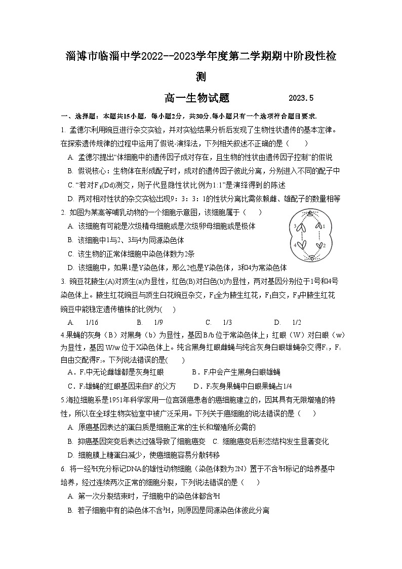 山东省淄博市临淄中学2022-2023学年高一下学期期中考试生物试题01