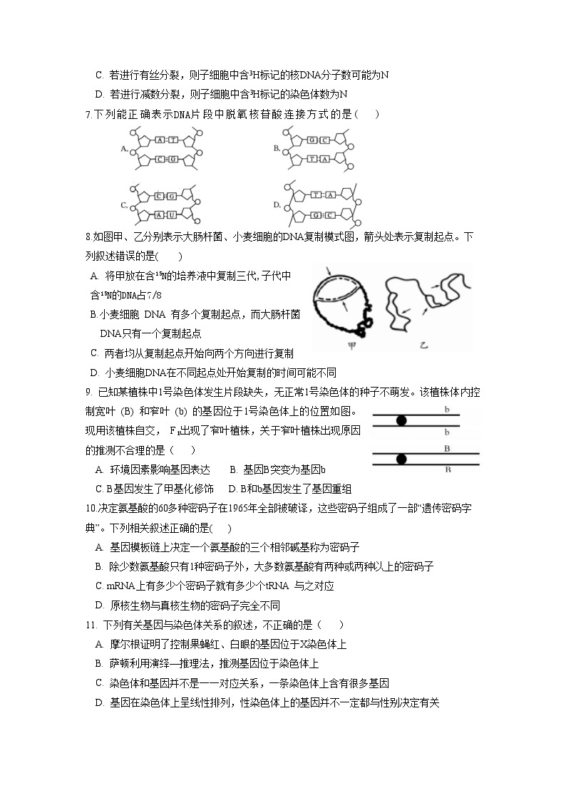 山东省淄博市临淄中学2022-2023学年高一下学期期中考试生物试题02