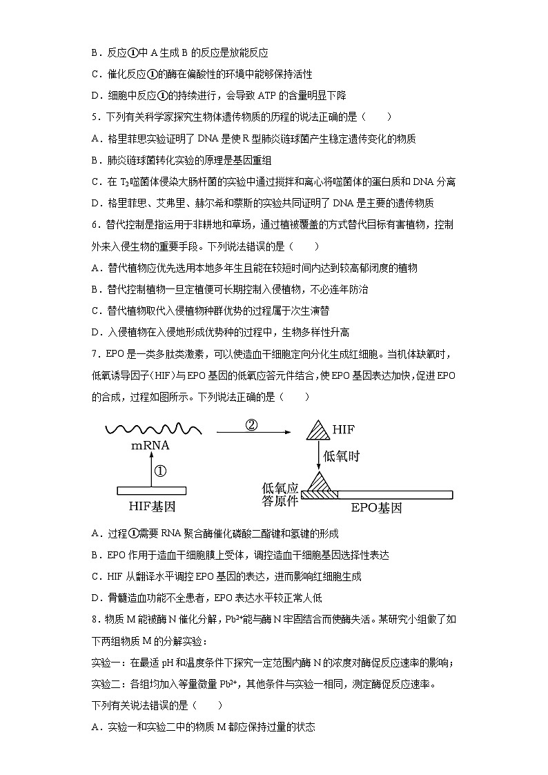 2023届湖北省荆荆宜三校高三下学期5月联考生物试题(含答案)第2页