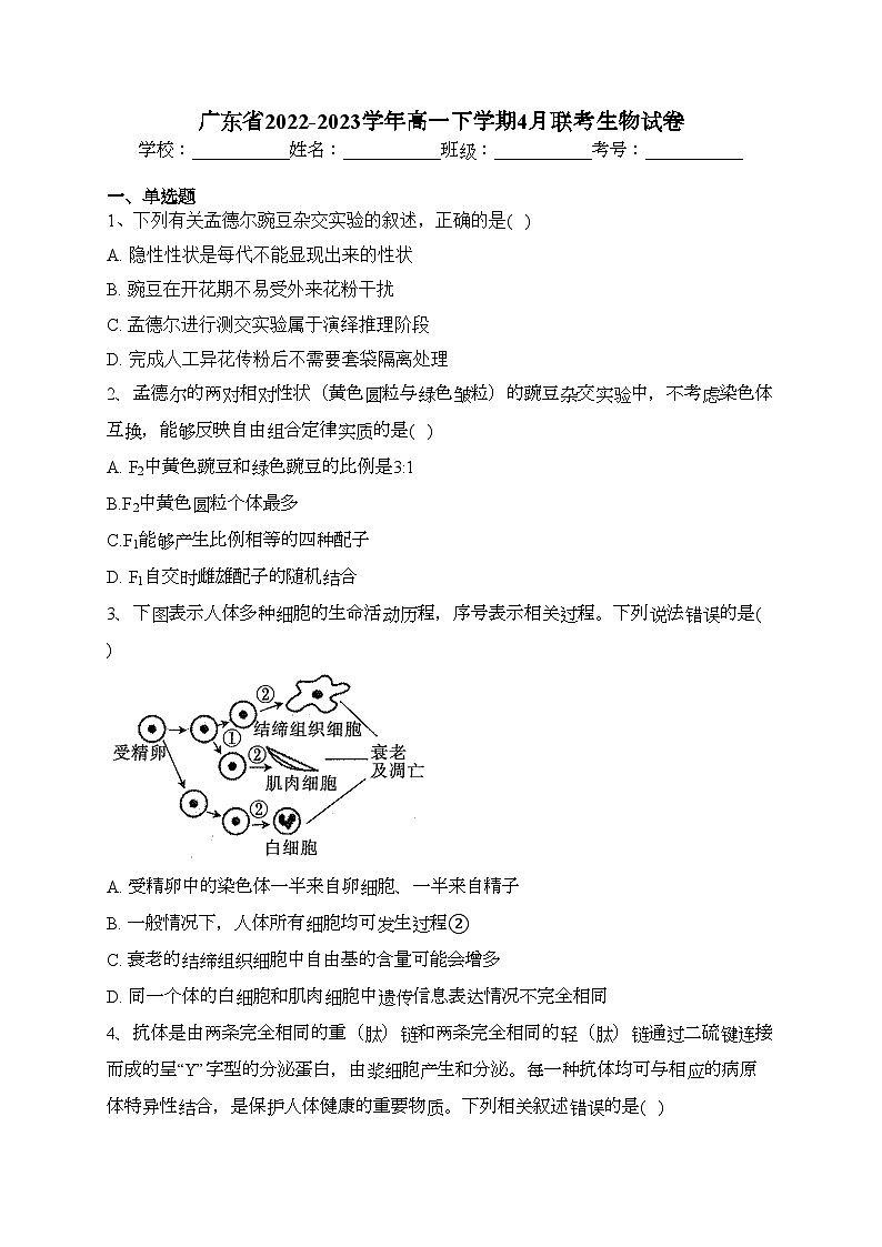 广东省2022-2023学年高一下学期4月联考生物试卷(含答案)第1页