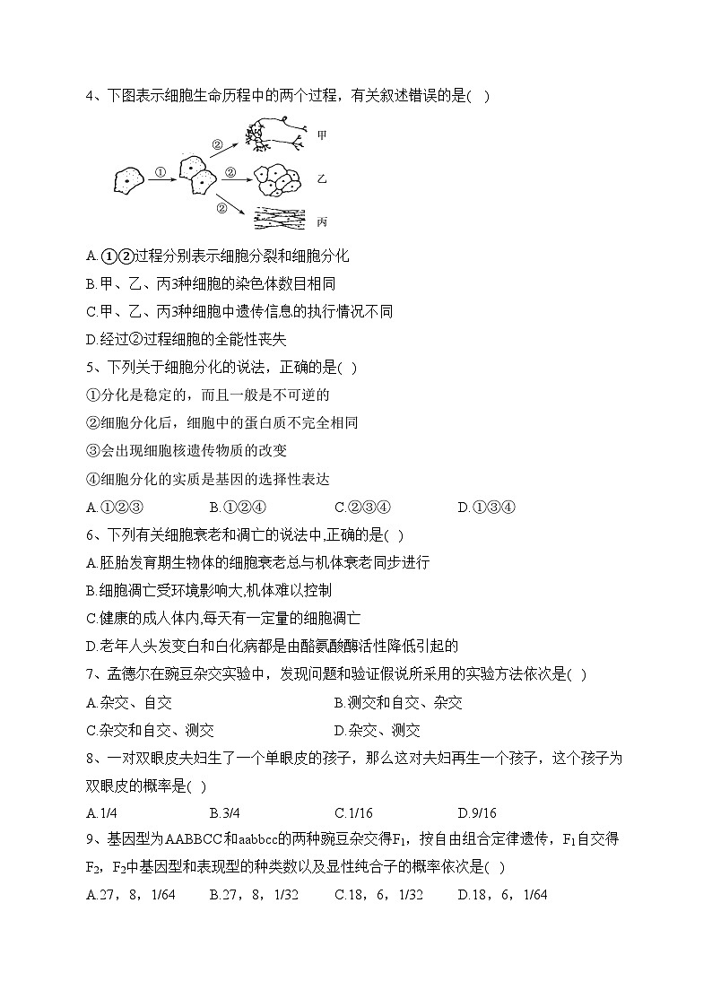 湖北省部分普通高中2022-2023学年高一下学期期中联考生物试卷(含答案)第2页
