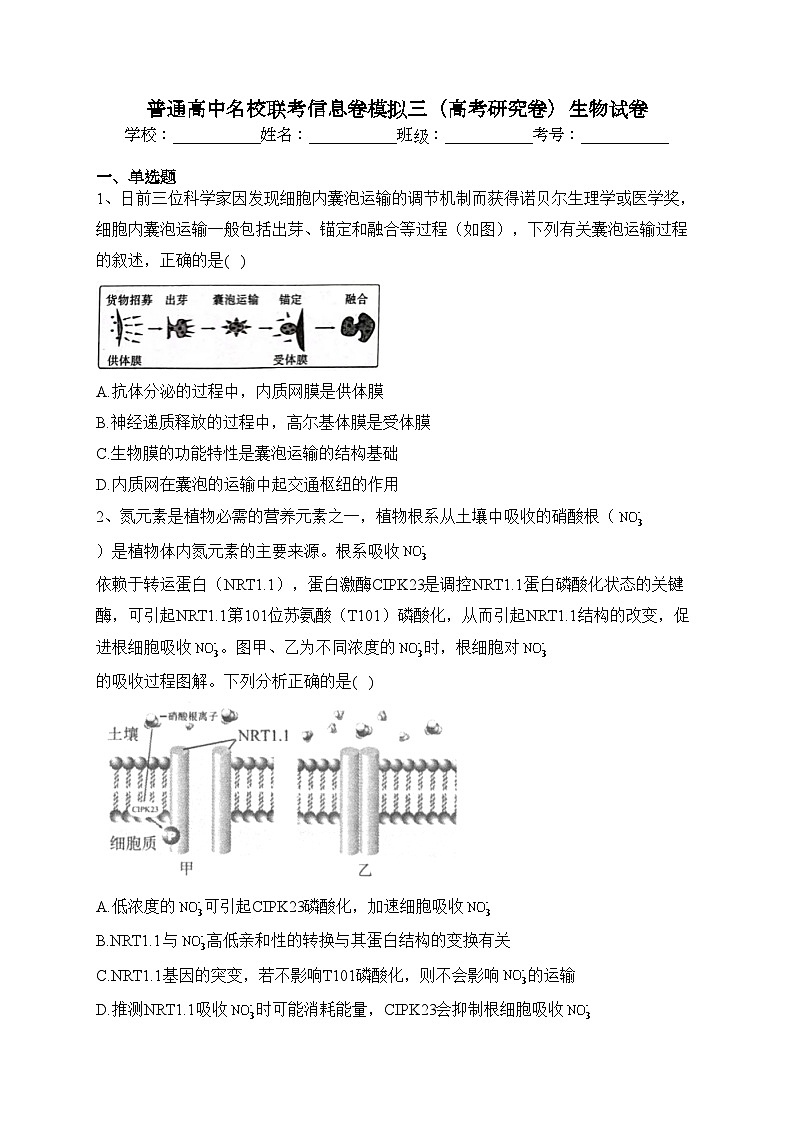 普通高中名校聯(lián)考信息卷模擬三（高考研究卷）生物試卷（含答案）第1頁