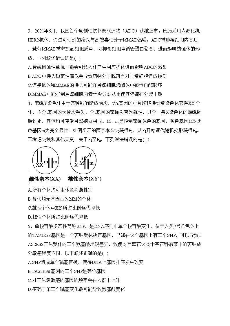普通高中名校聯(lián)考信息卷模擬三（高考研究卷）生物試卷（含答案）第2頁