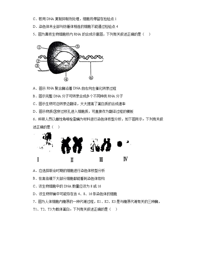 2023届江苏省南京市高三二模生物试题(无答案)第2页