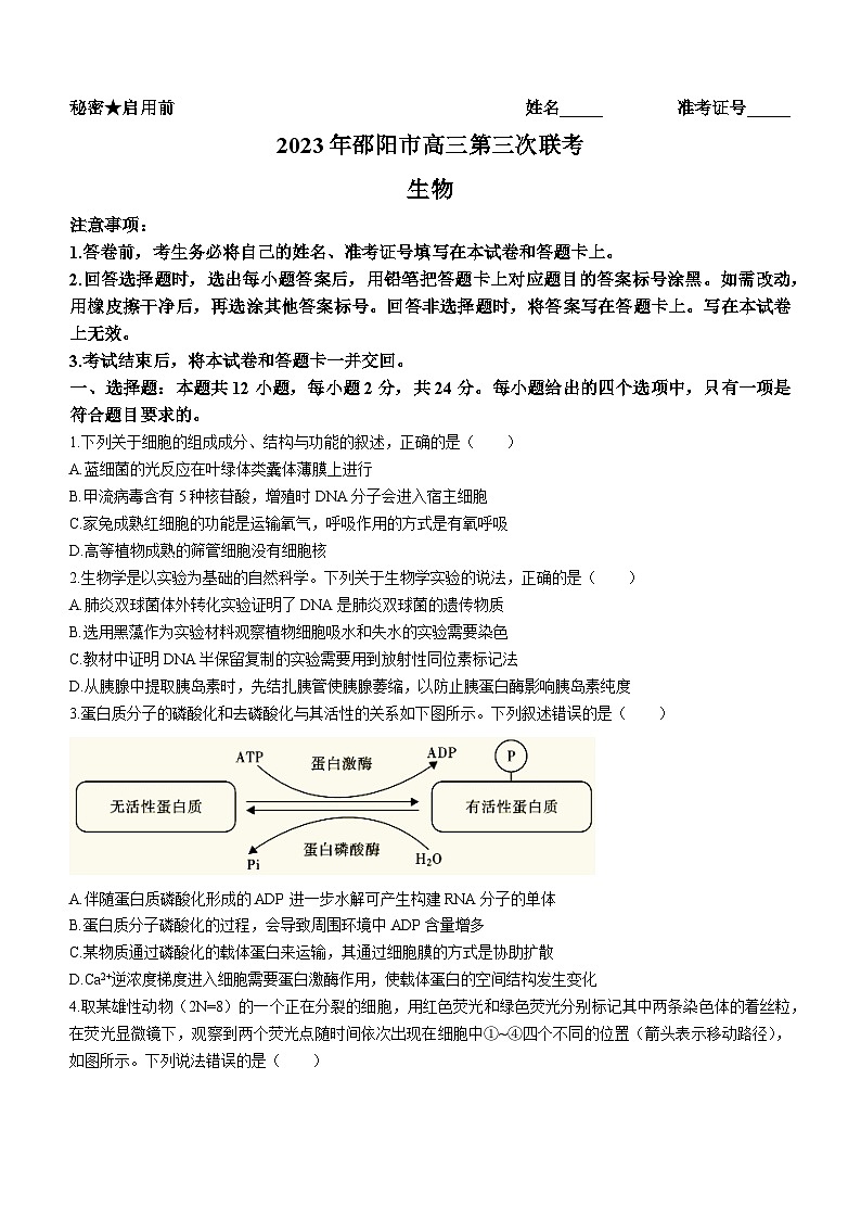 湖南省邵阳市2023届高三生物三模试题(Word版附答案)01
