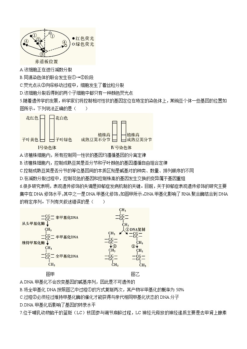 湖南省邵阳市2023届高三生物三模试题(Word版附答案)02