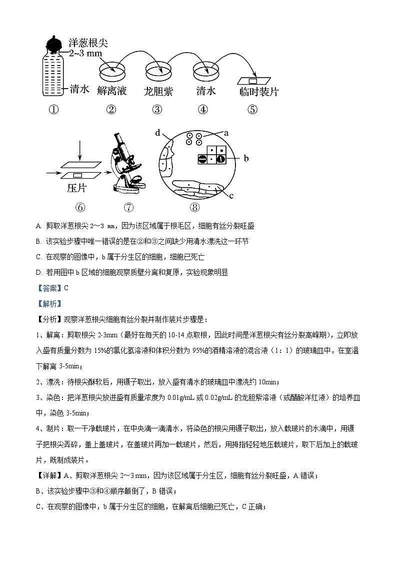 四川省资阳市乐至中学2022-2023学年高一生物下学期期中试题(Word版附解析)第2页