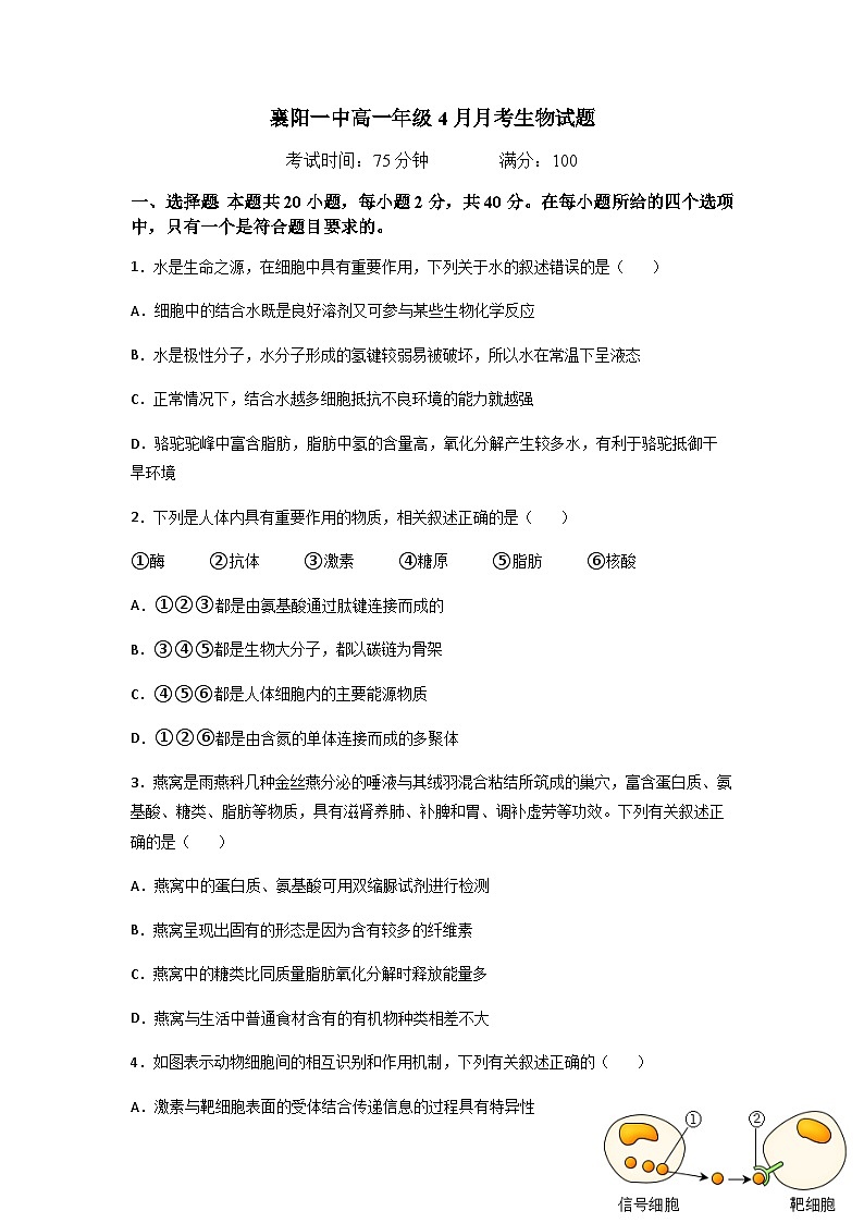湖北省襄陽(yáng)市第一中學(xué)2022-2023學(xué)年高一生物下學(xué)期4月月考試題（Word版附答案）第1頁(yè)