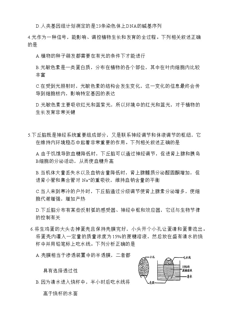 2023届辽宁省抚顺市普通高中高三下学期第一次模拟考试生物学试题含答案02