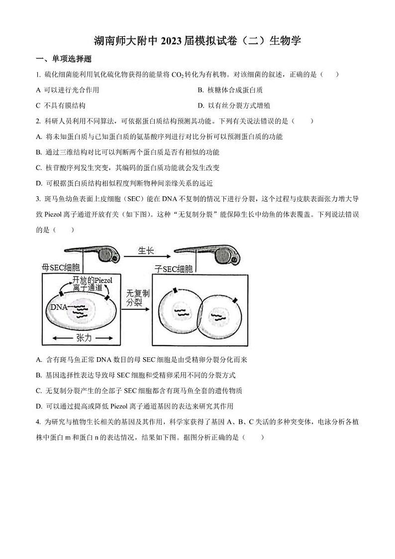 2023届湖南师范大学附属中学高三下学期模拟考试(二)生物试题PDF版含答案01