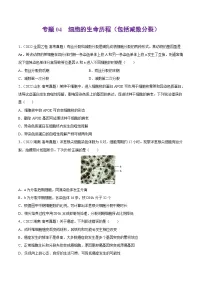 专题04 细胞的生命历程(包括减数分裂)——【全国通用】2020-2022三年高考生物真题分类汇编(原卷版+解析版)