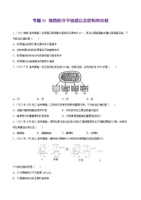 專(zhuān)題01 細(xì)胞的分子組成以及結(jié)構(gòu)和功能——【新高考專(zhuān)用】2020-2022三年高考真題生物分類(lèi)匯編（原卷版+解析版）