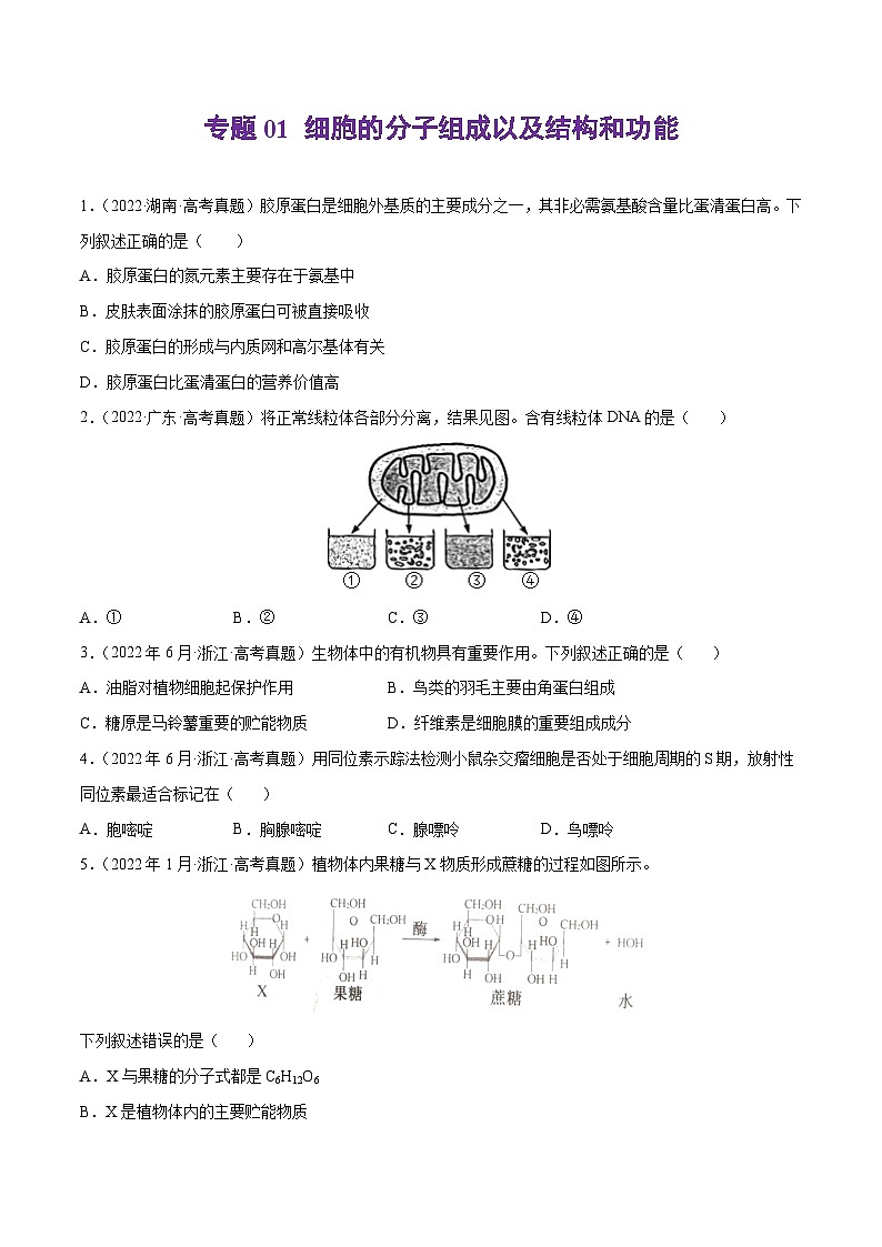 专题01 细胞的分子组成以及结构和功能——【新高考专用】2020-2022三年高考真题生物分类汇编(原卷版)第1页