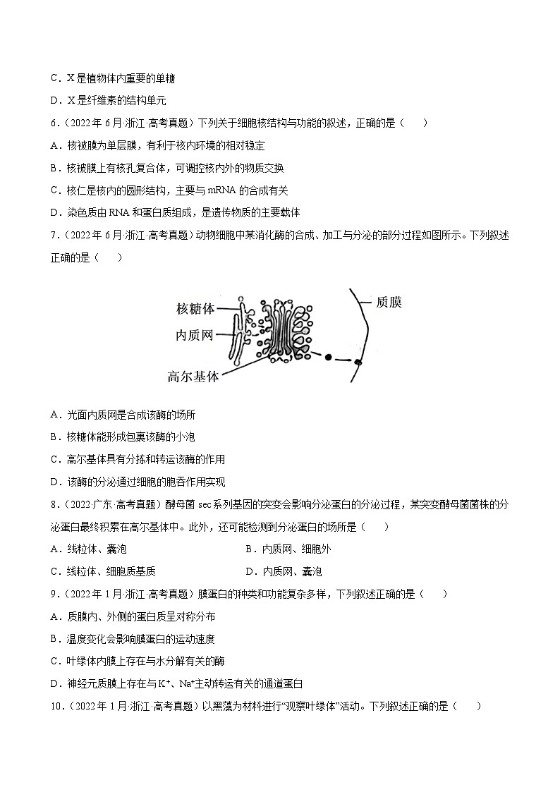 专题01 细胞的分子组成以及结构和功能——【新高考专用】2020-2022三年高考真题生物分类汇编(原卷版)第2页