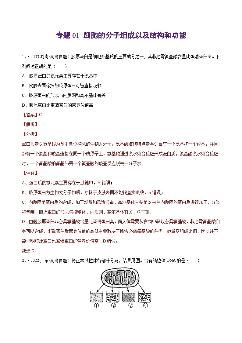 专题01 细胞的分子组成以及结构和功能——【新高考专用】2020-2022三年高考真题生物分类汇编(解析版)第1页