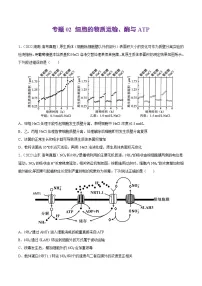专题02 细胞的物质运输、酶与ATP——【新高考专用】2020-2022三年高考真题生物分类汇编(原卷版+解析版)