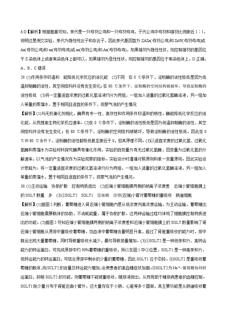 2023年高考押题预测卷01(全国甲卷)-生物(全解全析)第2页
