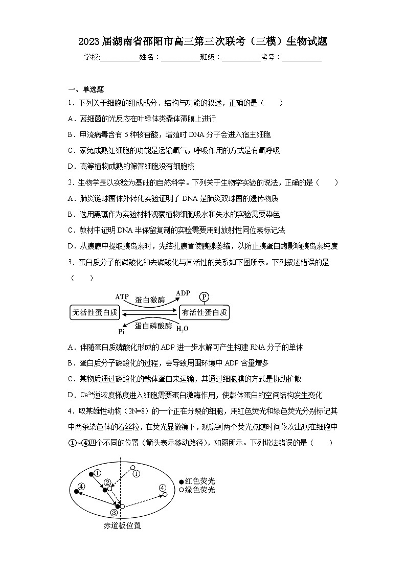 2023届湖南省邵阳市高三第三次联考(三模)生物试题(含答案)01