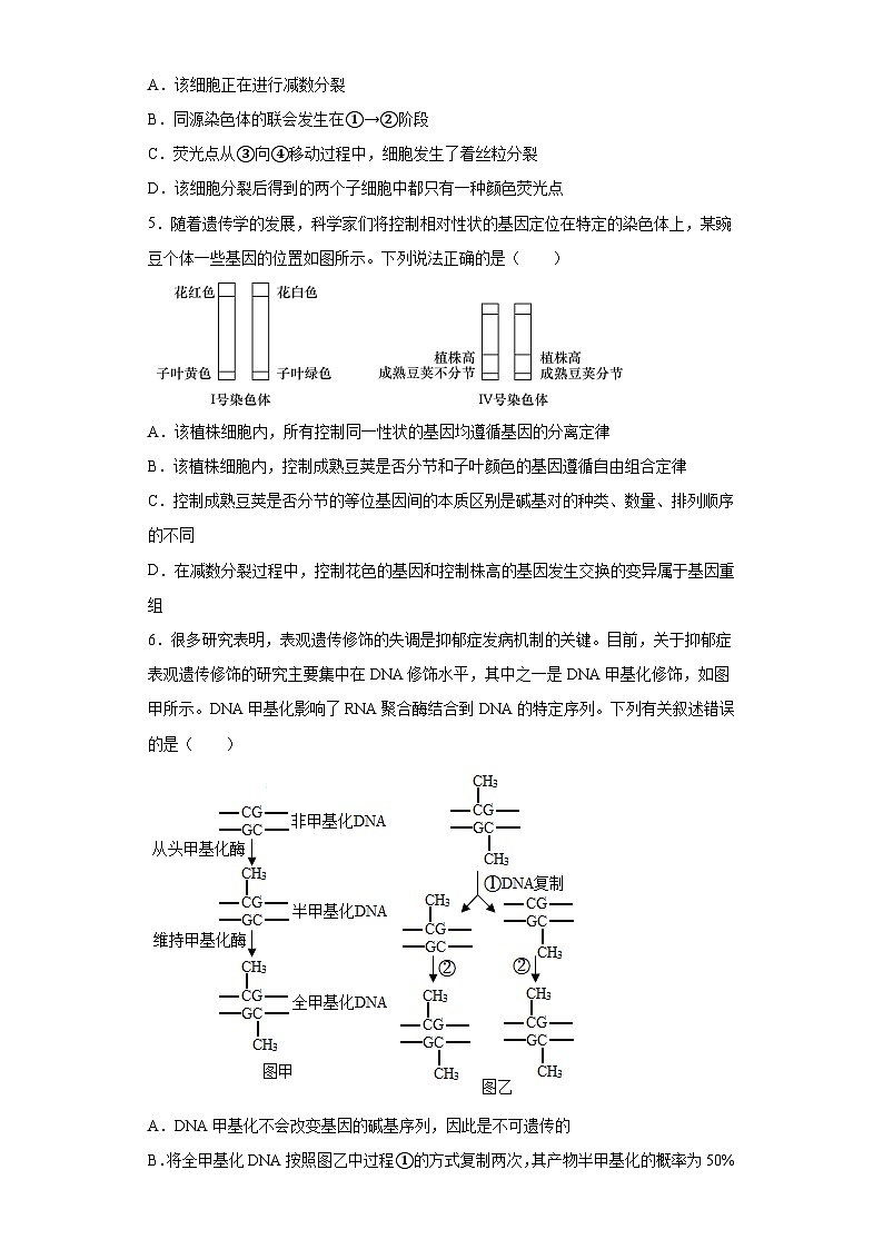 2023届湖南省邵阳市高三第三次联考(三模)生物试题(含答案)02