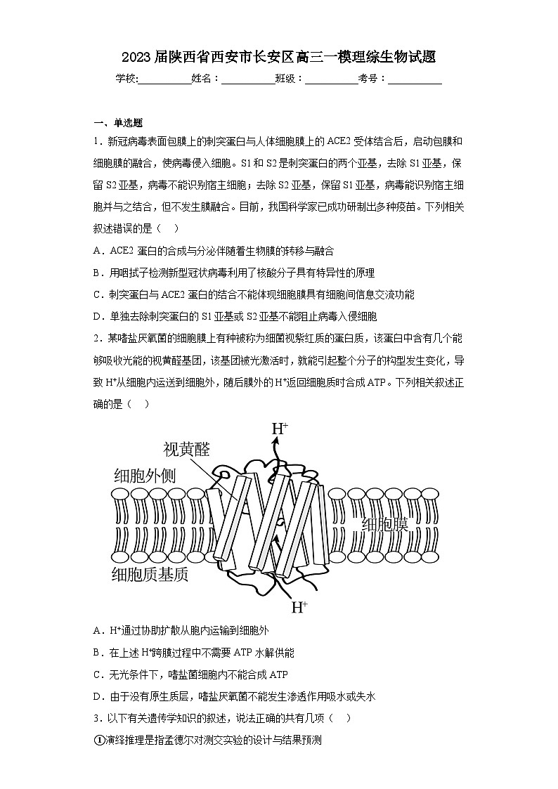 2023届陕西省西安市长安区高三一模理综生物试题(含答案)01