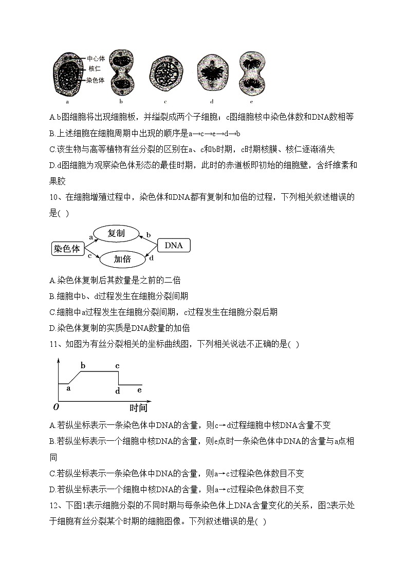 四川省眉山市仁寿县2022-2023学年高一下学期4月期中联考生物试卷(含答案)03