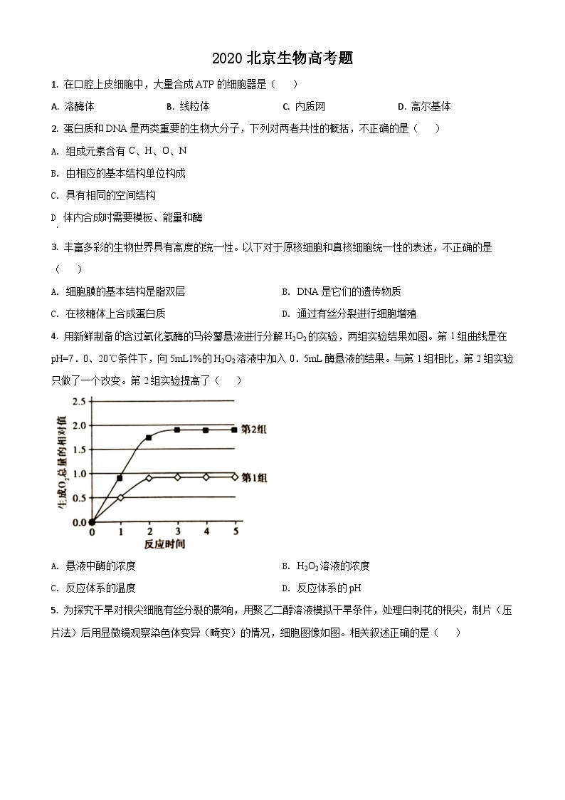 高中生物高考精品解析：2020年北京高考生物试题（原卷版）01
