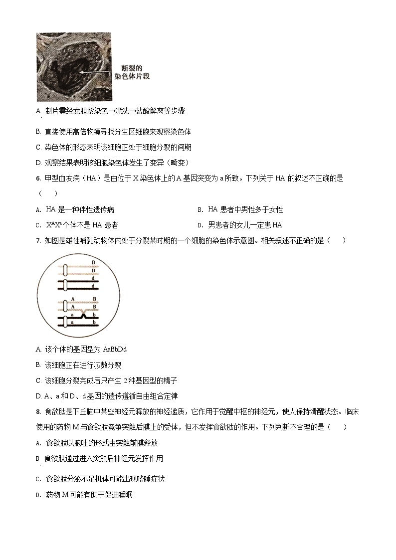 高中生物高考精品解析：2020年北京高考生物试题（原卷版）02