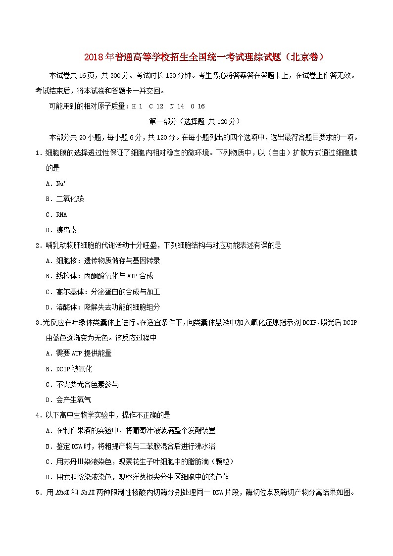 高中生物高考2018年普通高等学校招生全国统一考试理综试题(北京卷,含答案)01