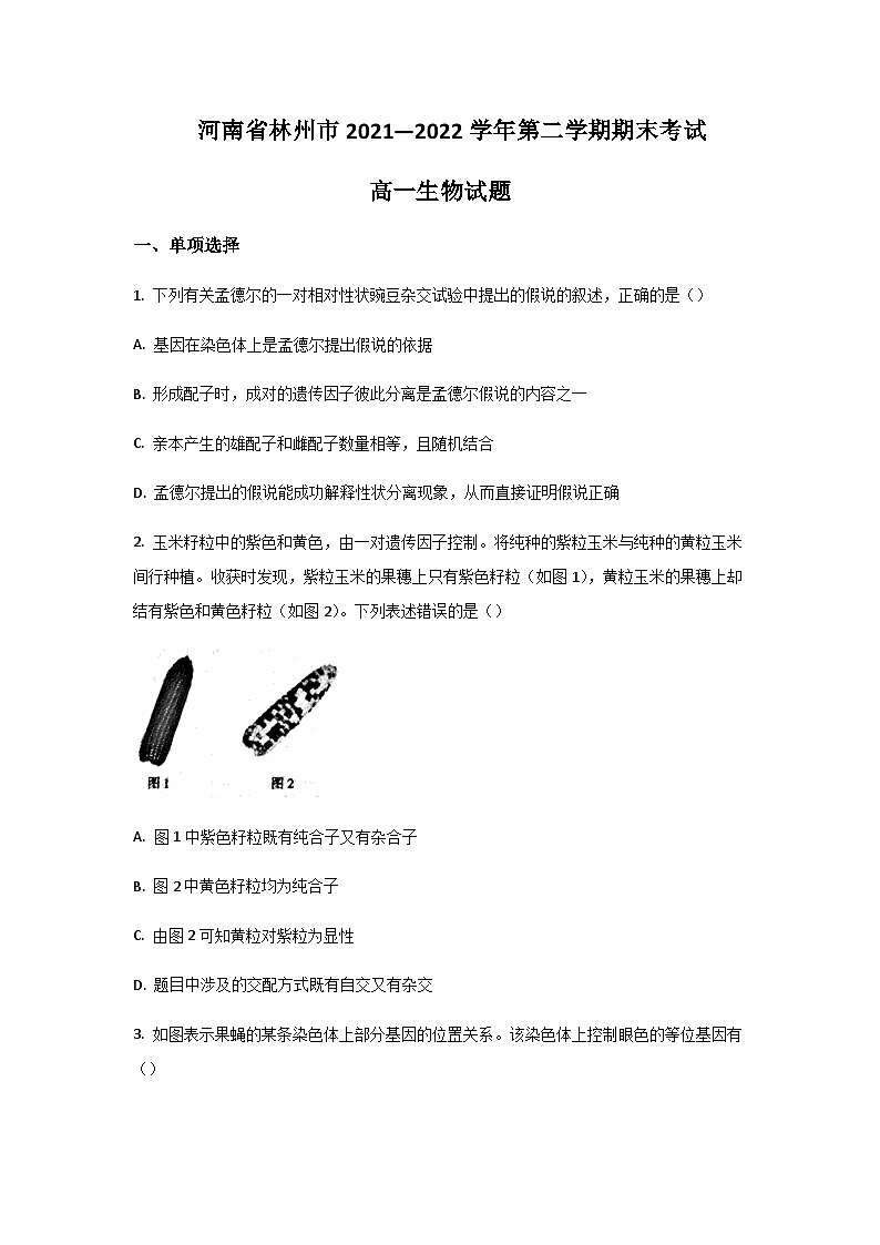 2021-2022学年河南省林州市高一下学期期末考试生物试卷含答案01