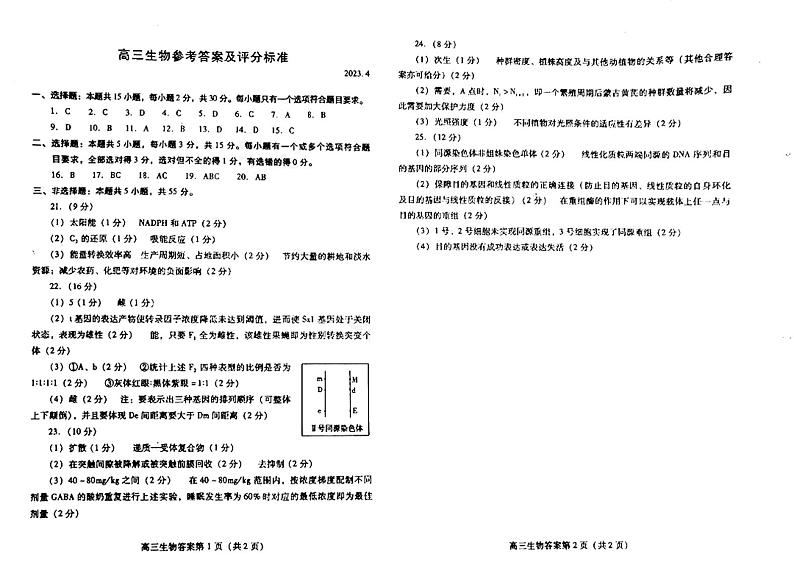 2023届山东省潍坊市高三第二次模拟测试 生物答案第1页