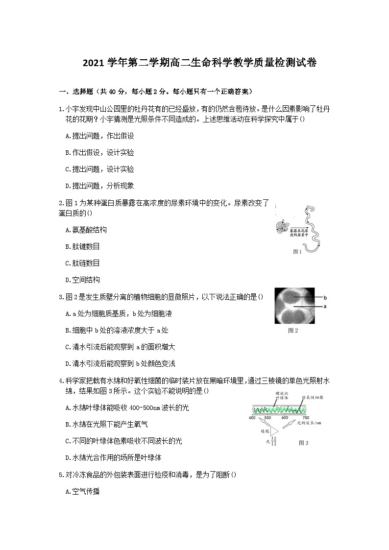 上海市长宁区2022届高三二模生物试题第1页