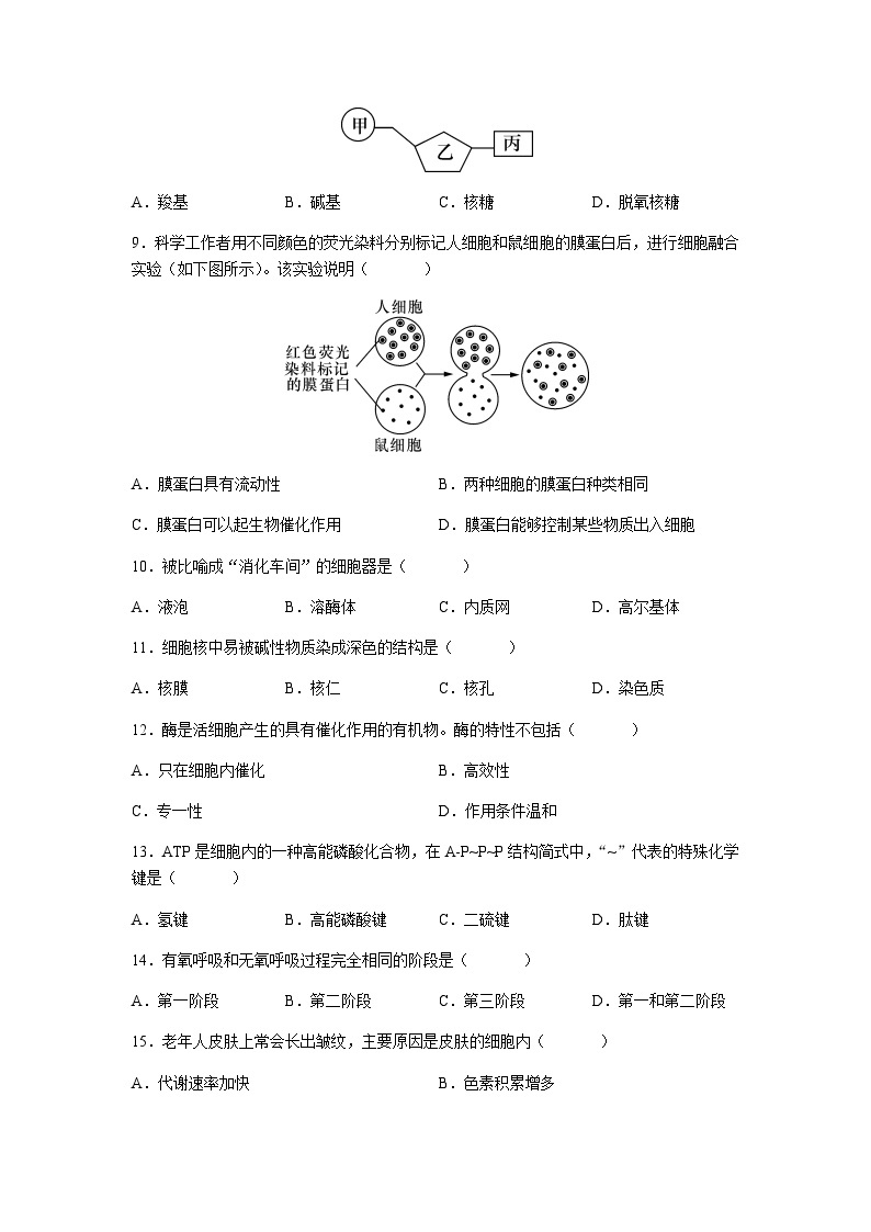 2022-2023学年湖南省长沙市长郡中学高一下学期期中生物试题含答案02