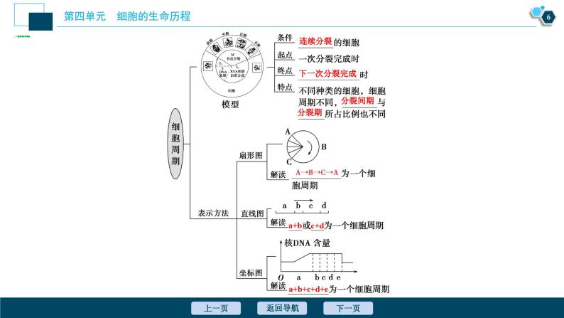 高中生物高考1　第四单元　第11讲　细胞的增殖课件PPT07