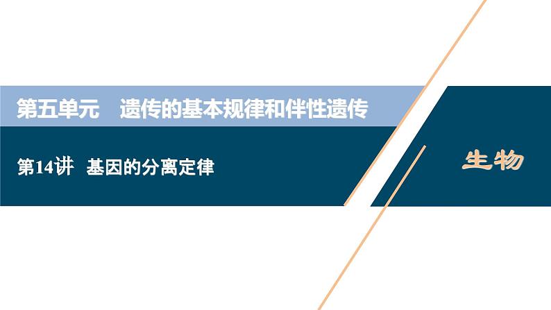 高中生物高考1 第五单元 第14讲 基因的分离定律课件PPT第1页