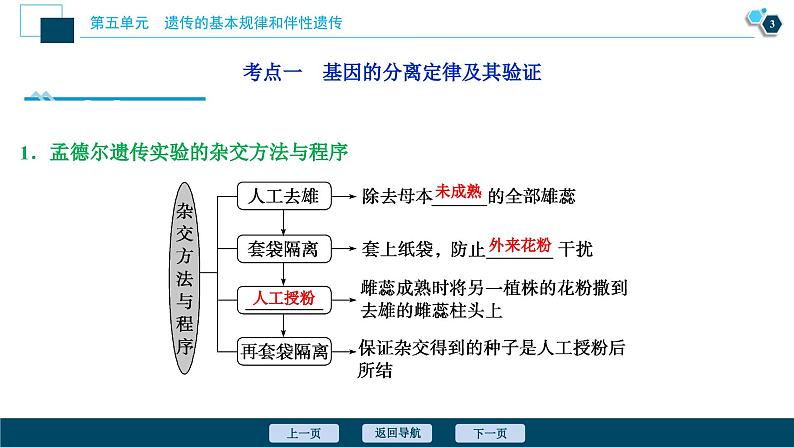 高中生物高考1 第五单元 第14讲 基因的分离定律课件PPT第4页