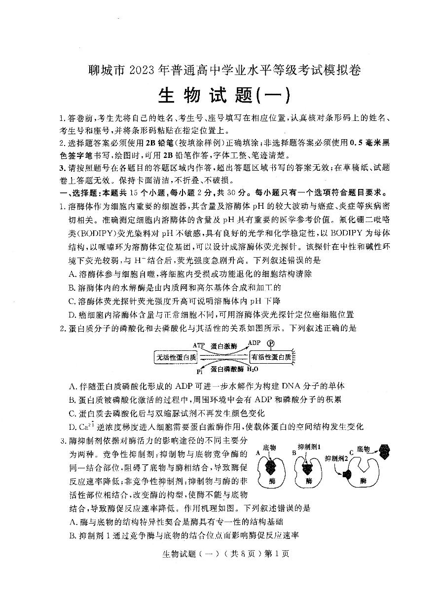 2022-2023学年山东省聊城市普通高中学业水平等级考试模拟（一）生物试题PDF版含答案