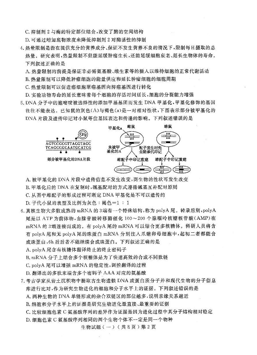 山東省聊城市2022-2023學(xué)年普通高中學(xué)業(yè)水平等級考試模擬(一)生物試題 PDF版無答案第2頁