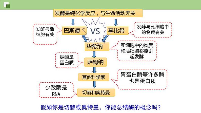 4.1.1酶的作用和本质(课件)-上学期高一生物同步精品课堂第2页
