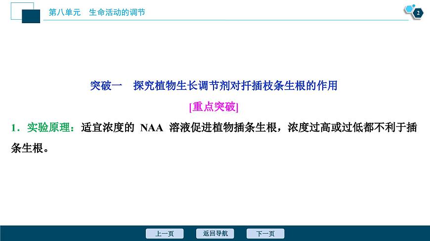 高中生物高考10 第八單元 加強(qiáng)提升課(8) 植物激素調(diào)節(jié)相關(guān)實(shí)驗(yàn)探究課件PPT第3頁(yè)